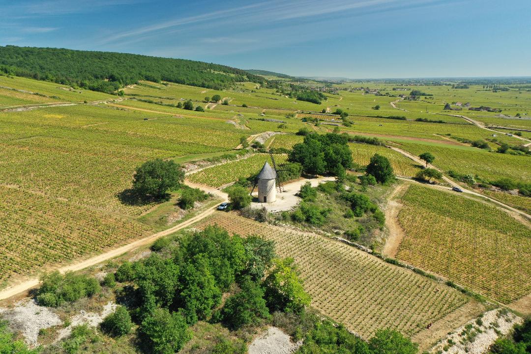 Moulin à vent du vignoble de Santenay en Bourgogne. Une curiosité dans cette région vouée à la vigne et à l'eau, puisque Santenay, outre les fameux vins quelle produit est aussi une ville d'eau, la présence du Casino en atteste. 
